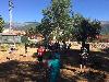 components/com_spgm/spgm/gal/LaAdrada2017_Momentos/_thb_LaAdrada2017_MOM_08.jpg